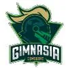 里瓦达维亚海军LDD